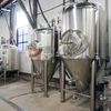 5BBL Beer Brewery Equipment Beer Commercial Beer Conical Sus304 / 316 Баки для брожения пива для начала